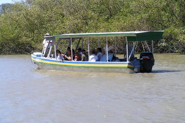 Jungle River Cruise